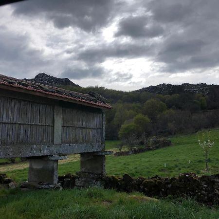 Appartamento A casa do chico Ourense Esterno foto